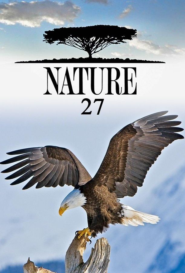 自然    第⁨二十七⁩季
    Nature (2008)