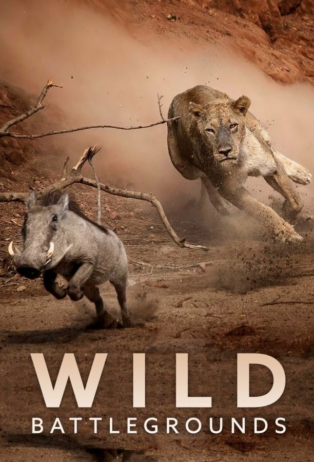 Wild Battlegrounds    第⁨一⁩季
     (2024)
