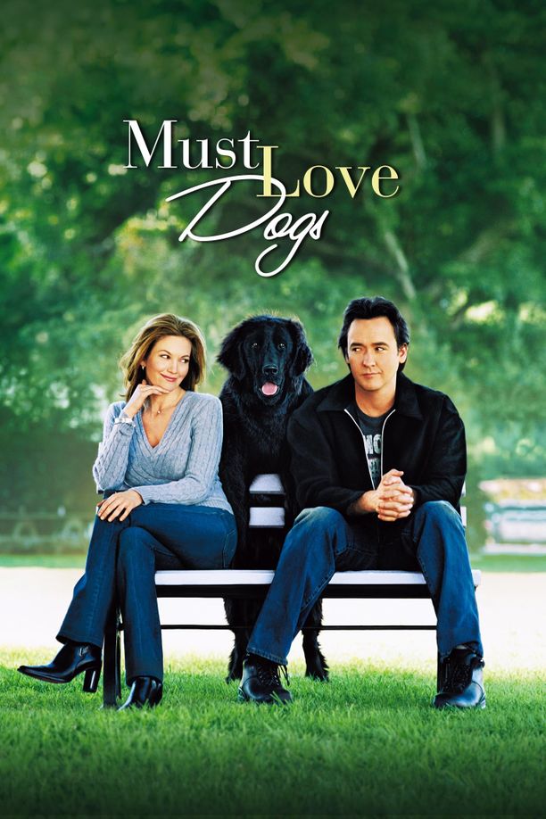 征婚广告Must Love Dogs (2005)