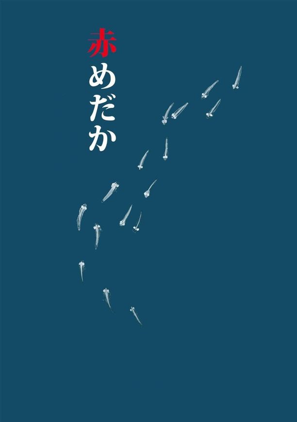 红鳉鱼赤めだか (2015)