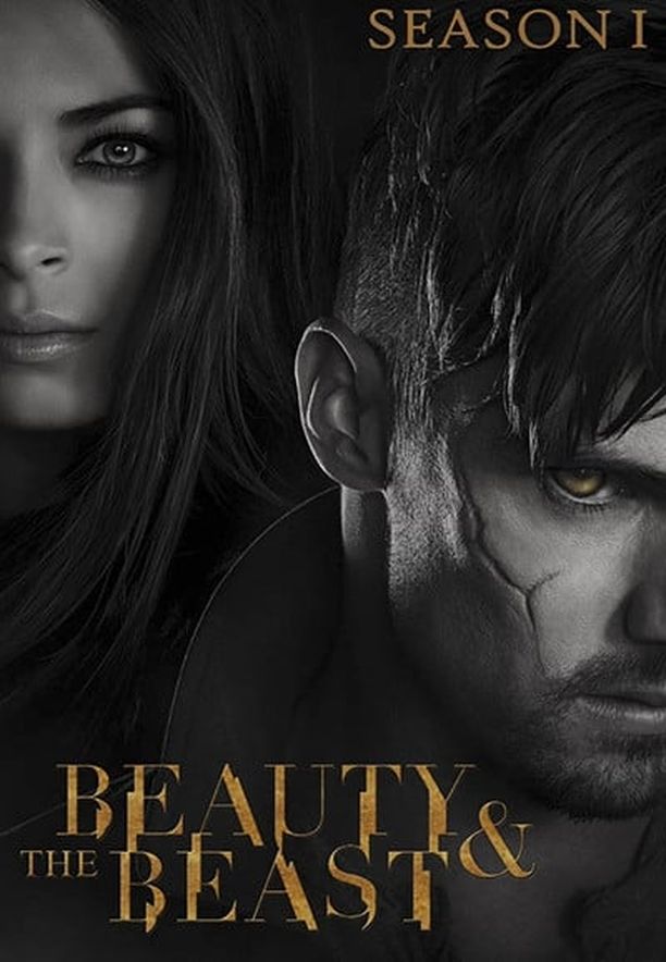 侠胆雄狮    第⁨一⁩季
    Beauty and the Beast (2012)
