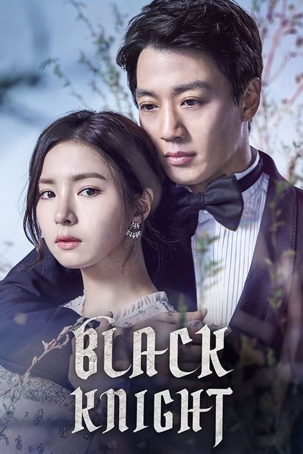 黑骑士    第⁨一⁩季
    흑기사 (2017)