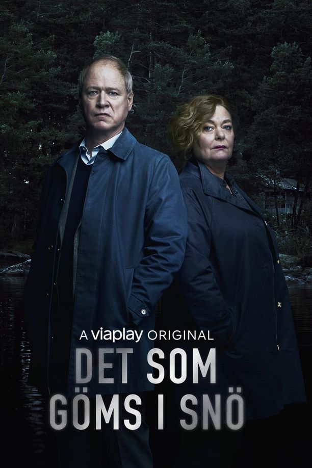 真相大白    第⁨二⁩季
    Det som göms i snö (2021)