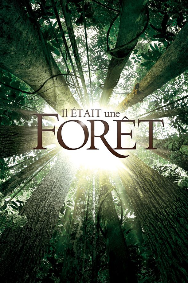 从前有座森林Il était une forêt (2013)