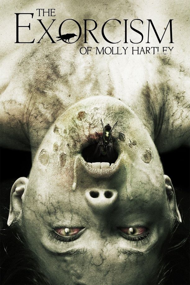莫丽·哈特莉的驱魔The Exorcism of Molly Hartley (2015)