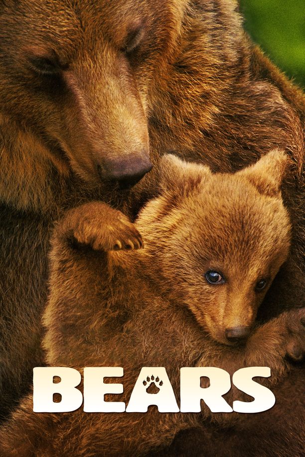 熊世界Bears (2014)