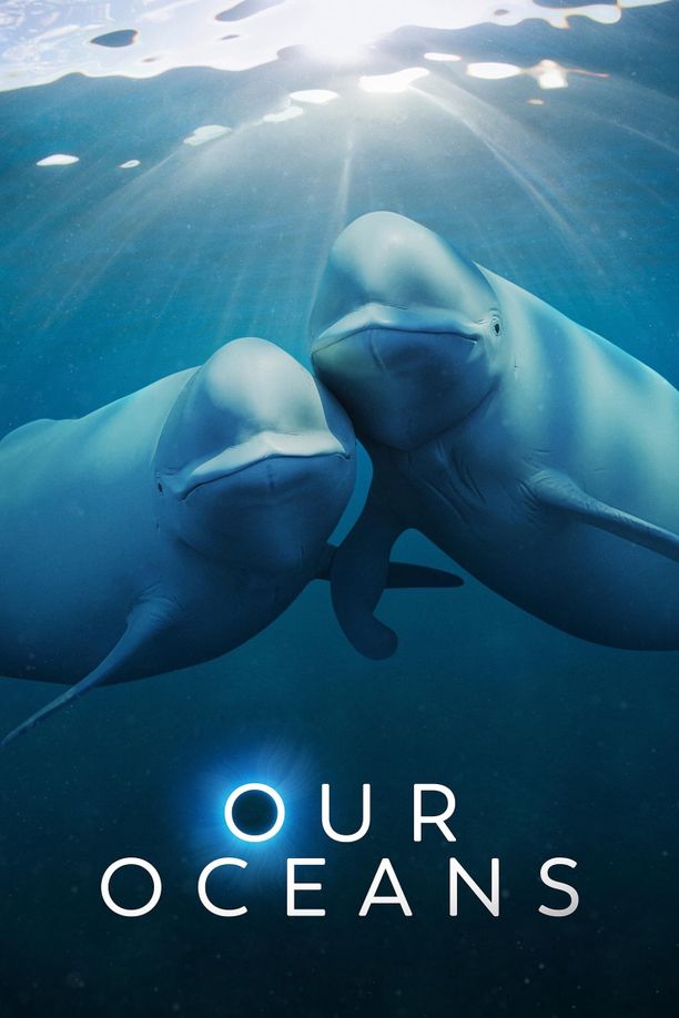 我们的海洋Our Oceans (2024)