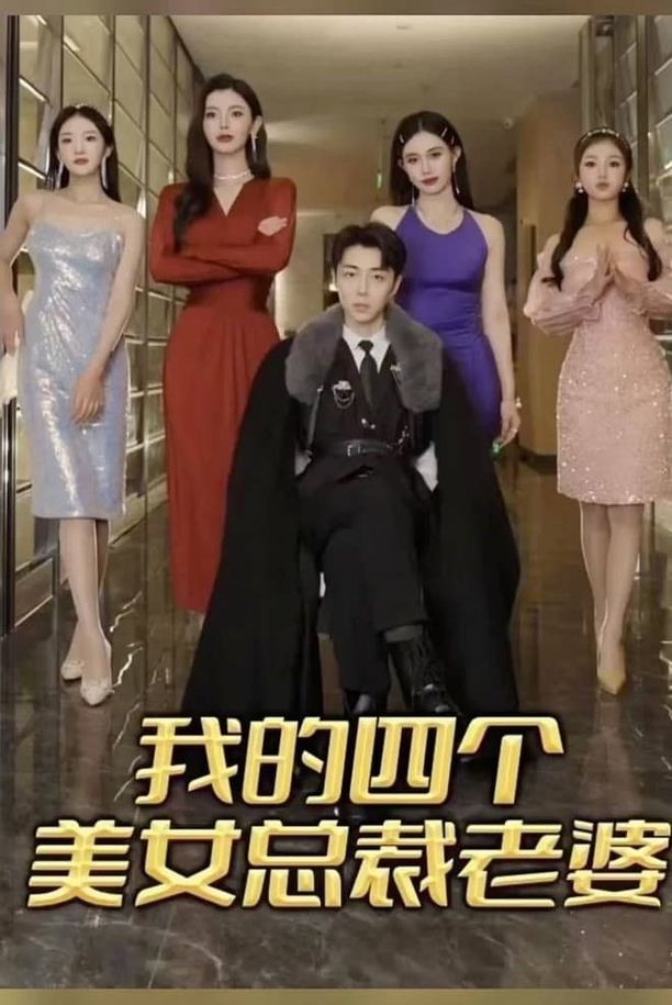 我的四个美女总裁老婆    第⁨一⁩季
     (2023)
