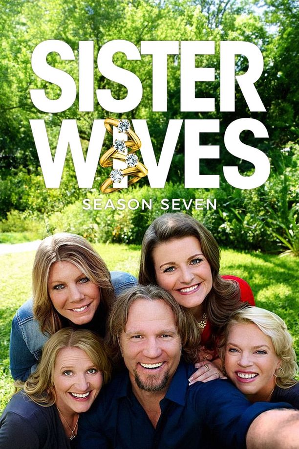 我的妻子们是好姐妹    第⁨七⁩季
    Sister Wives (2016)