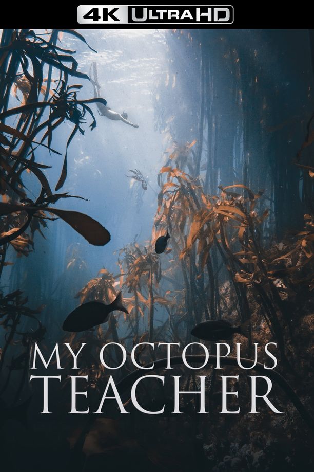 我的章鱼老师My Octopus Teacher (2020)