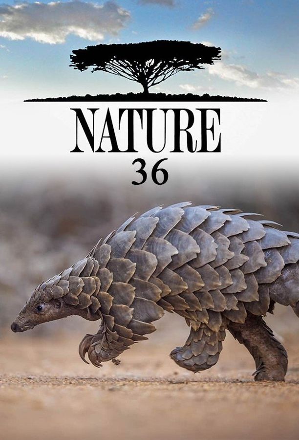 自然    第⁨三十六⁩季
    Nature (2017)