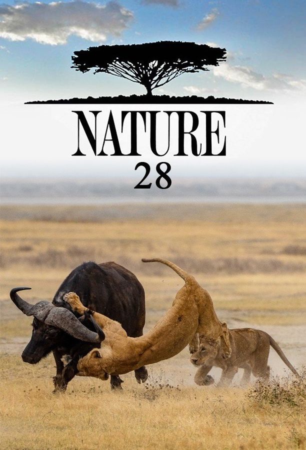 自然    第⁨二十八⁩季
    Nature (2009)