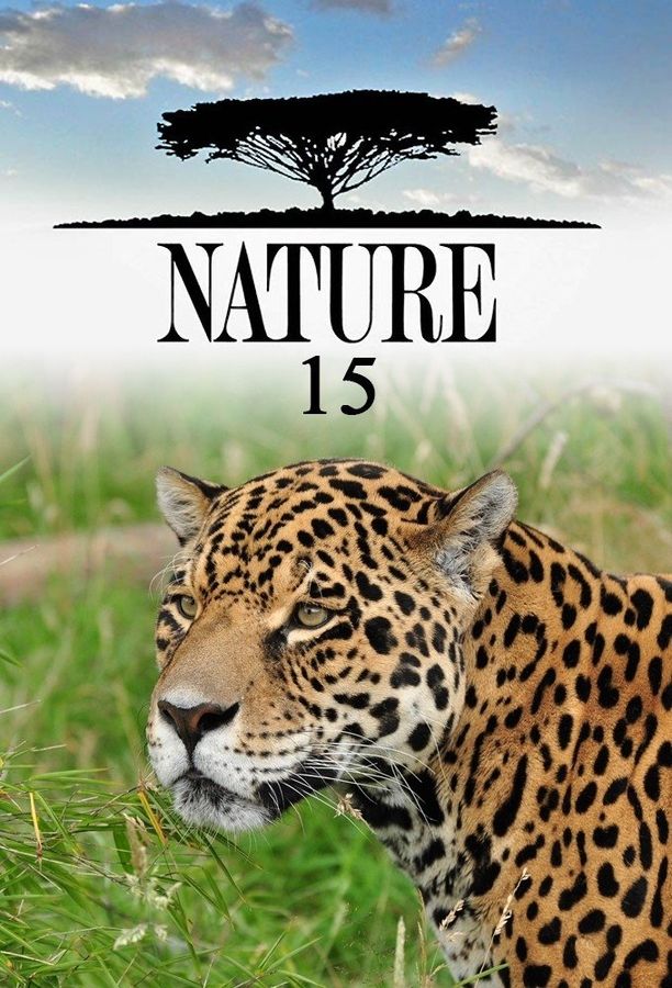 自然    第⁨十五⁩季
    Nature (1996)