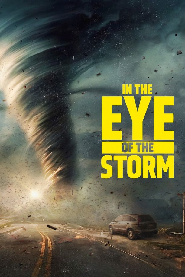 直击暴风眼In the Eye of the Storm (2024)