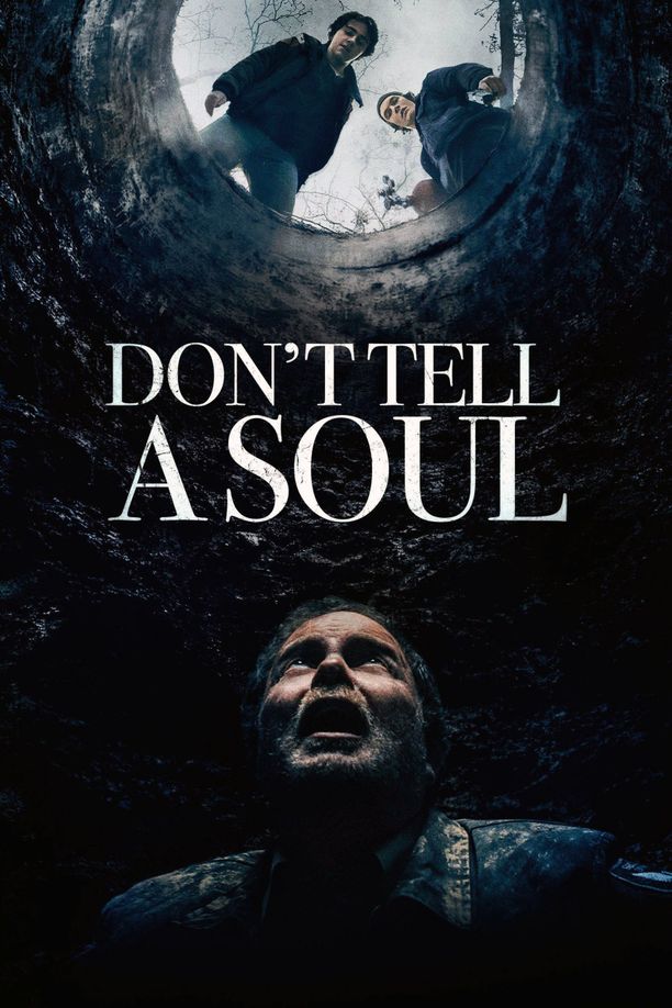 别告诉任何人Don't Tell a Soul (2020)