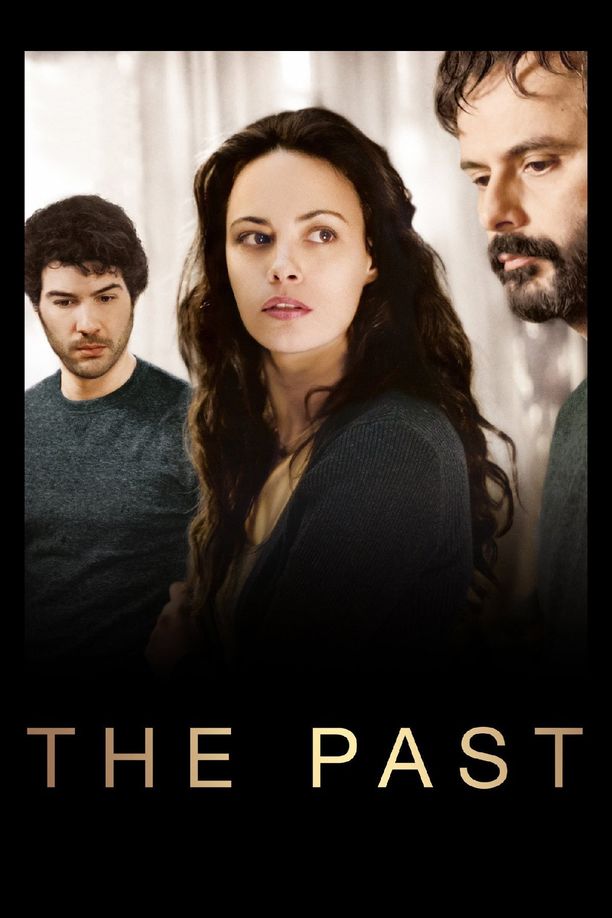 过往Le passé (2013)