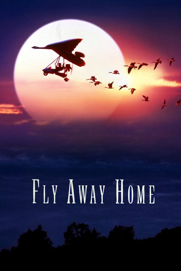 伴你高飞Fly Away Home (1996)