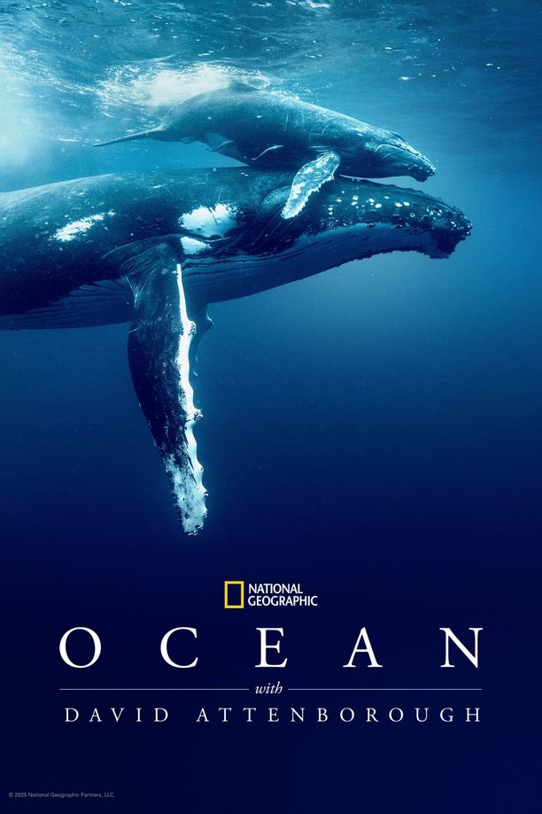 與大衛艾登堡遨遊深海Ocean with David Attenborough (2025)