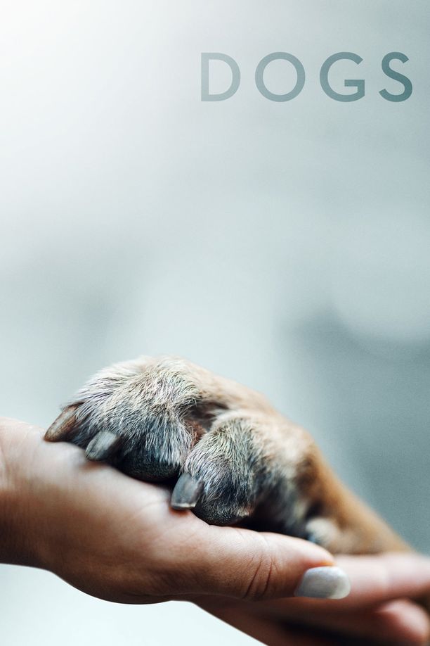 爱犬情深    第⁨一⁩季
    Dogs (2018)