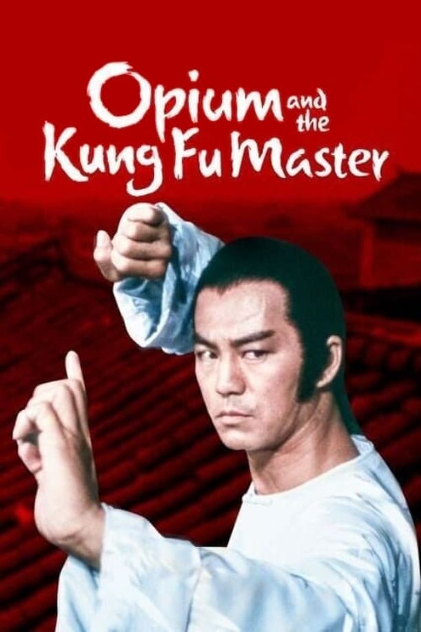 洪拳大师洪拳大師 (1984)