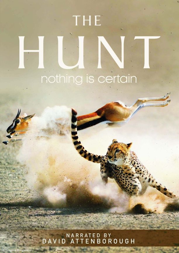 猎捕    第⁨一⁩季
    The Hunt (2015)