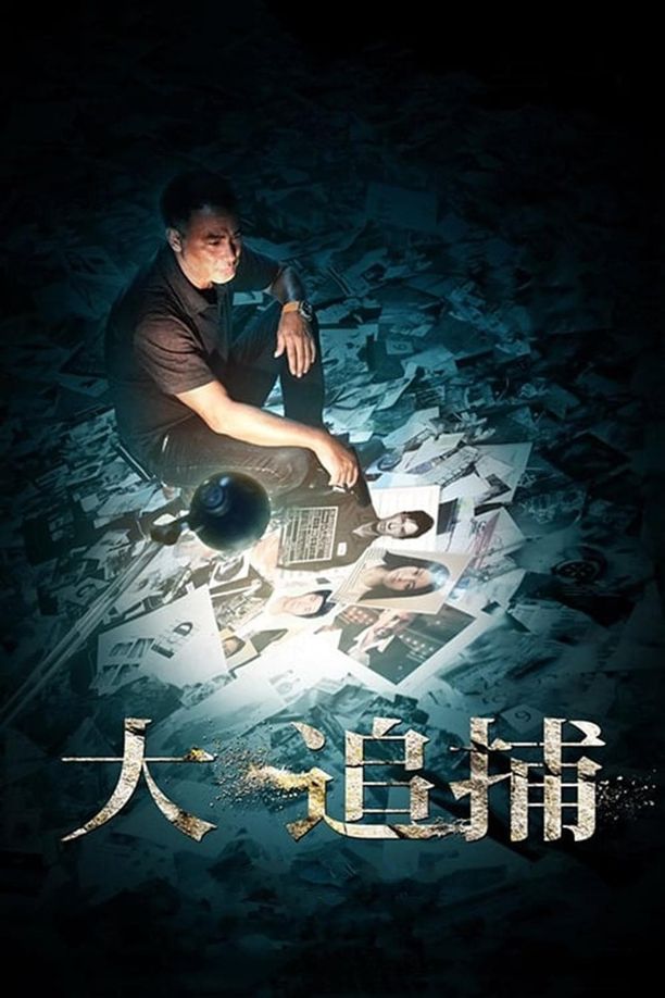 大追捕 (2012)