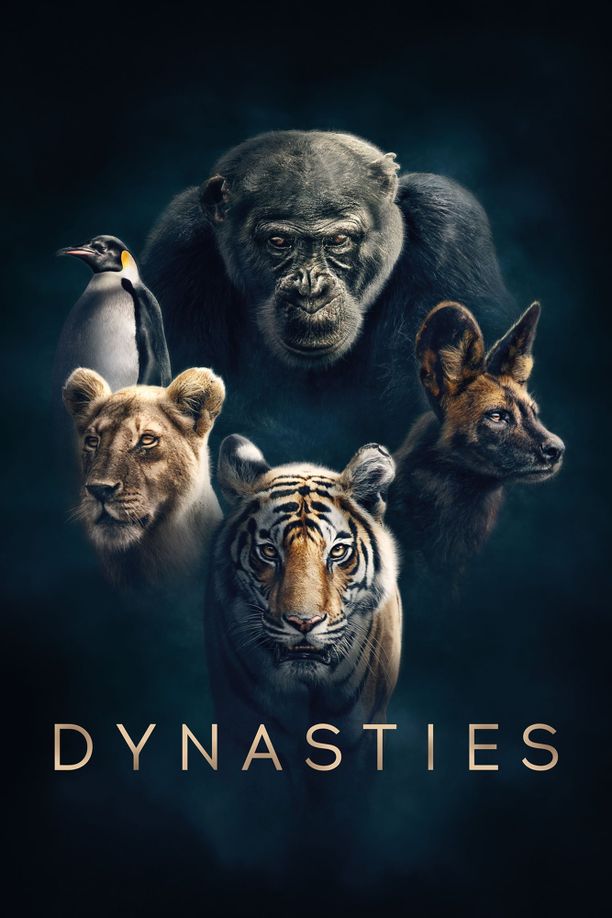 王朝    第⁨一⁩季
    Dynasties (2018)