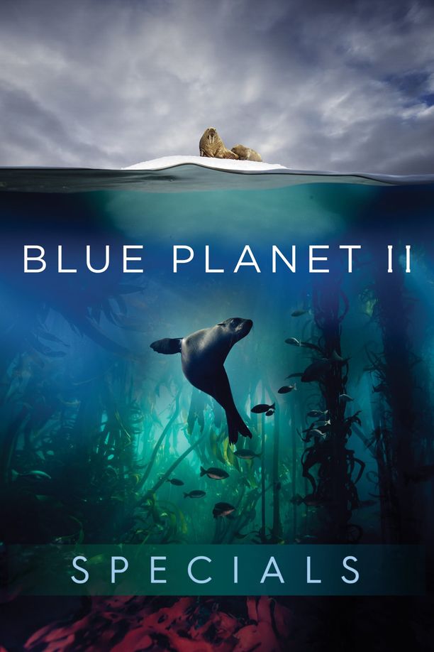 蓝色星球2    特别篇
    Blue Planet II (2017)