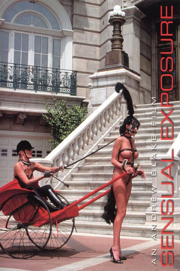 性感曝光Sensual Exposure (1993)