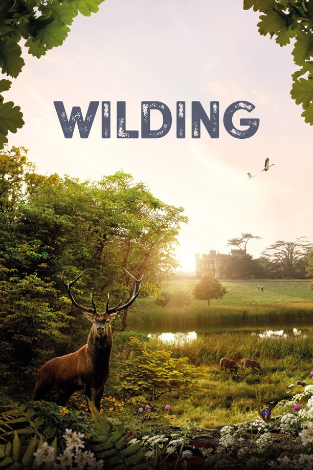 野趣Wilding (2024)
