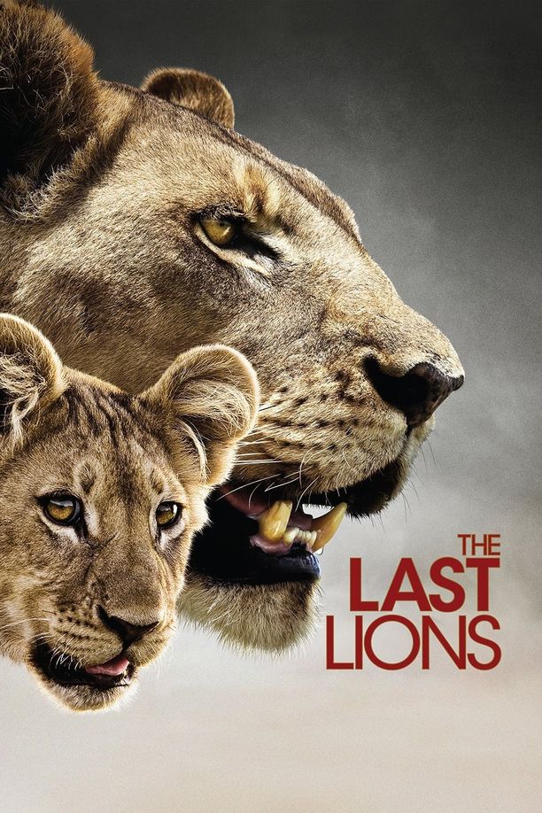 最后的狮子The Last Lions (2011)