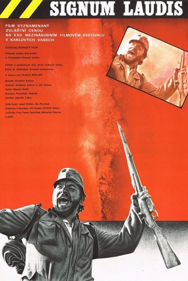 勋章Signum laudis (1980)