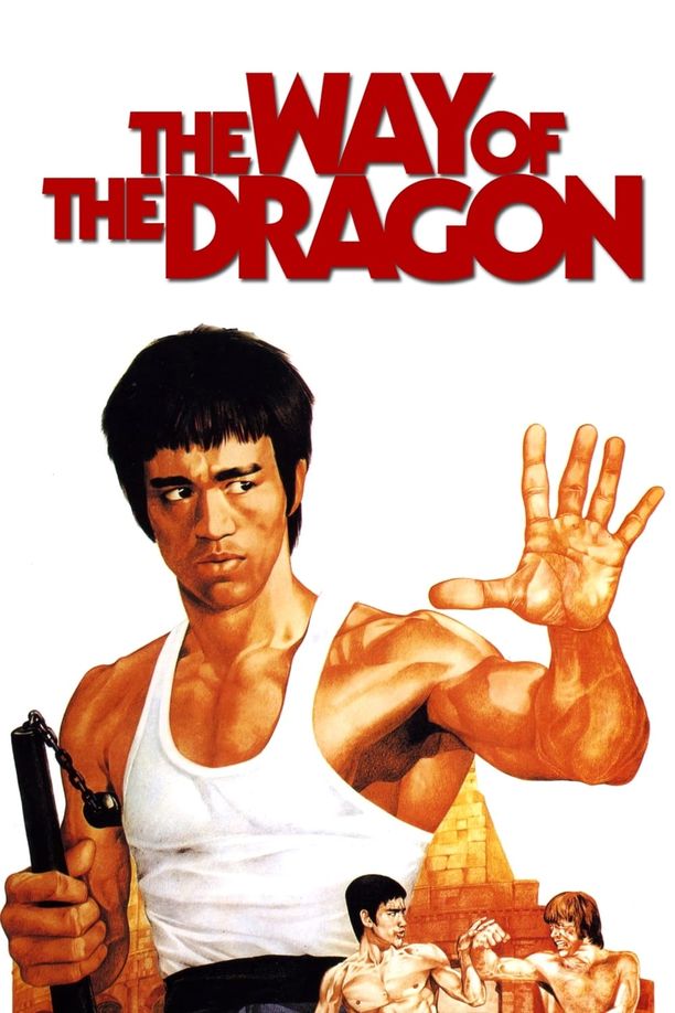 猛龙过江猛龍過江 (1972)