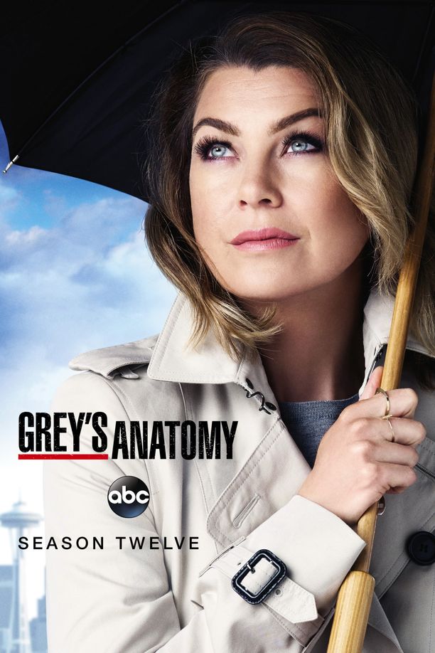 实习医生格蕾    第⁨十二⁩季
    Grey's Anatomy (2015)