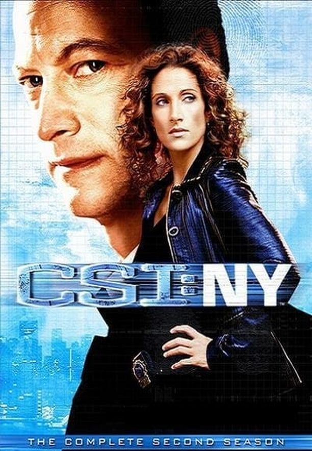 犯罪现场调查之纽约篇    第⁨二⁩季
    CSI: NY (2005)