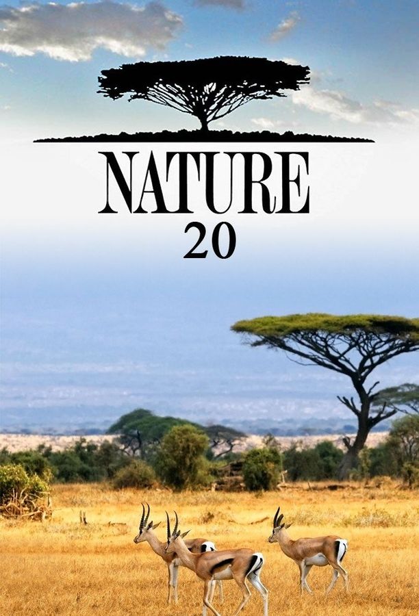 自然    第⁨二十⁩季
    Nature (2001)