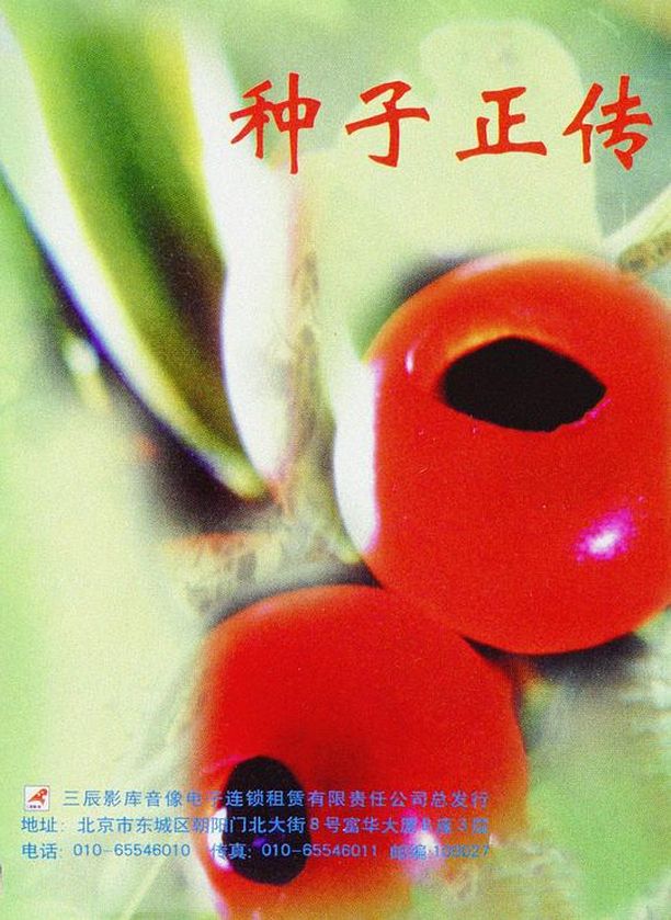 种子正传 (1996)