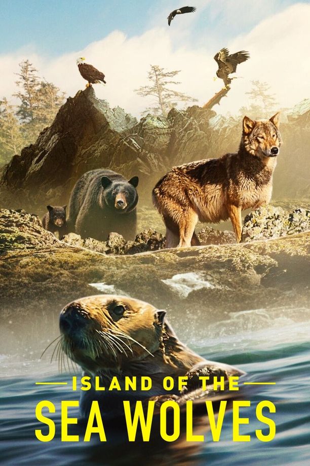 海狼之岛    第⁨一⁩季
    Island of the Sea Wolves (2022)