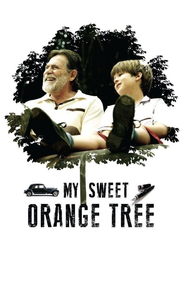 我亲爱的甜橙树Meu Pé de Laranja Lima (2013)