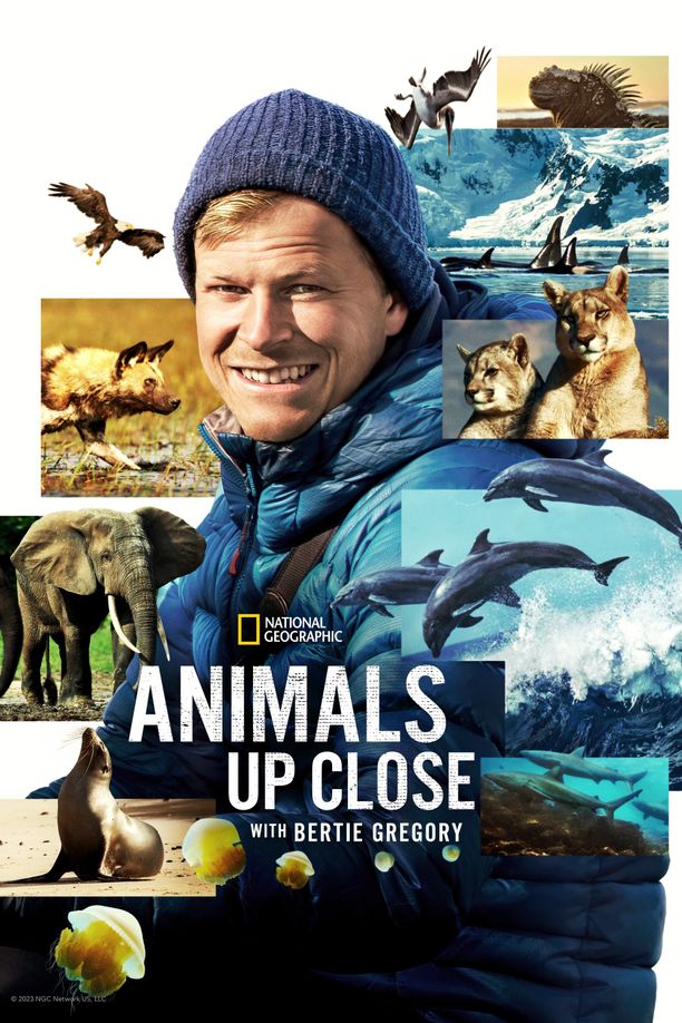 贝尔蒂·格雷戈里：与动物零距离    第⁨一⁩季
    Animals Up Close with Bertie Gregory (2023)