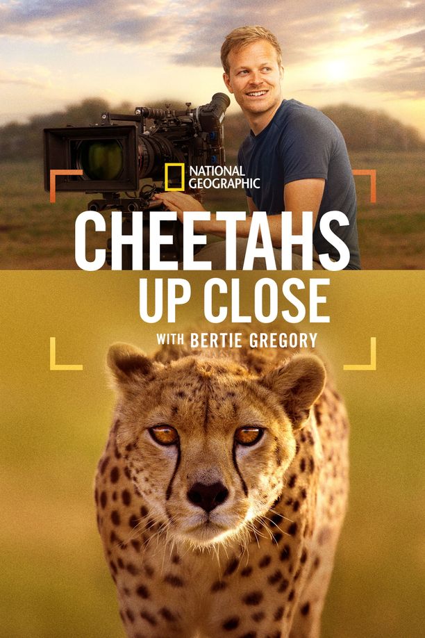 摄影师伯蒂与猎豹零距离Cheetahs Up Close with Bertie Gregory (2026)