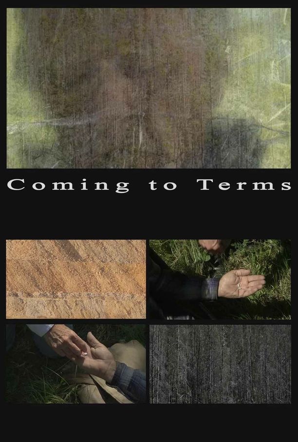 达成共识Coming to Terms (2013)