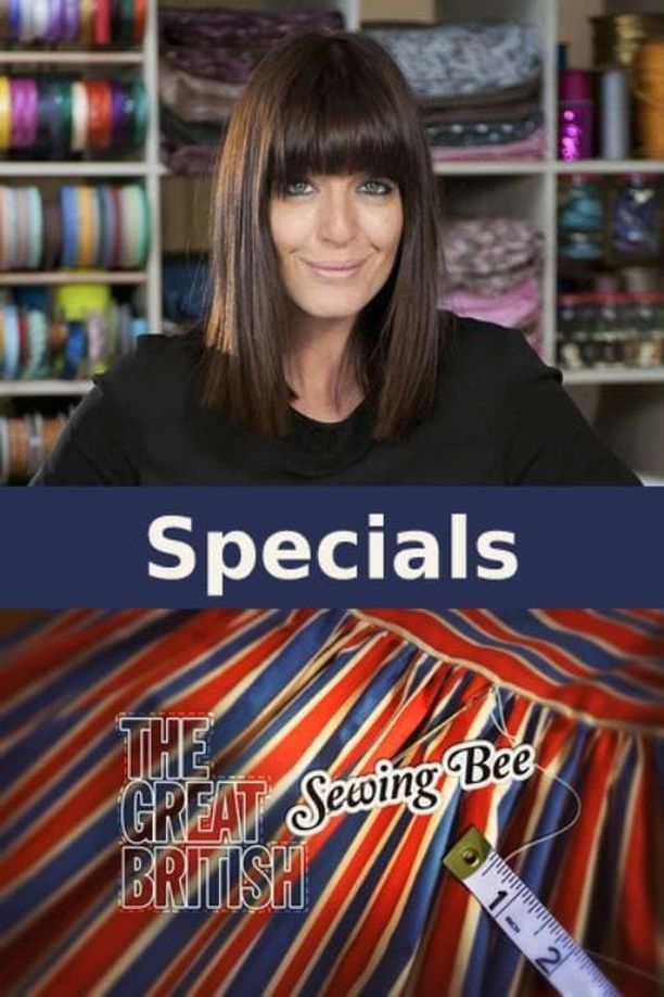 大英缝纫大赛    特别篇
    The Great British Sewing Bee (2013)