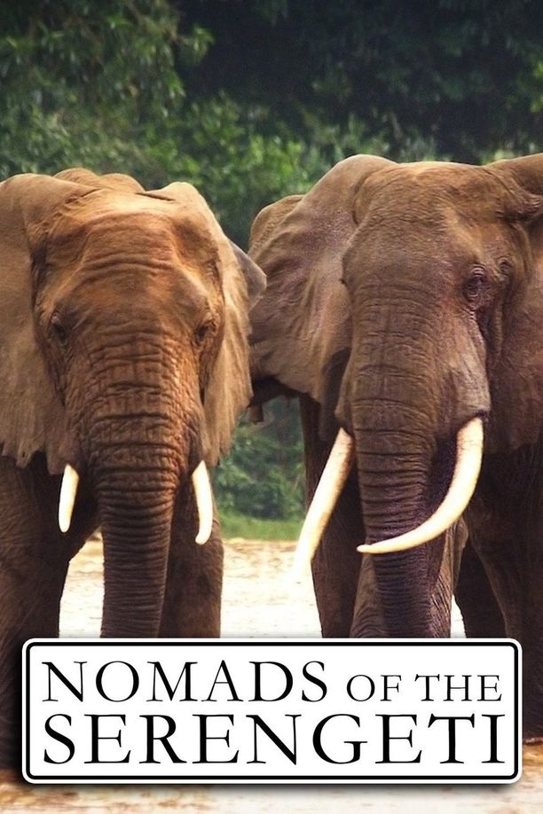 塞伦盖蒂游牧者    第⁨一⁩季
    Nomads of the Serengeti (2015)
