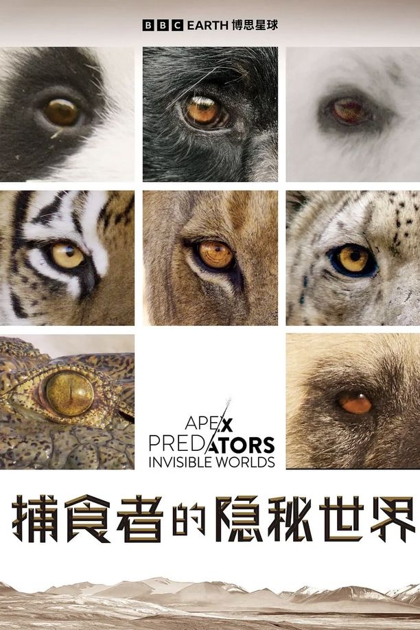 捕食者的隐秘世界Apex Predators: Invisible Worlds (2024)