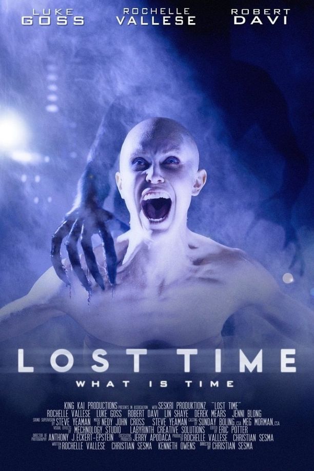 迷路失魂Lost Time (2014)