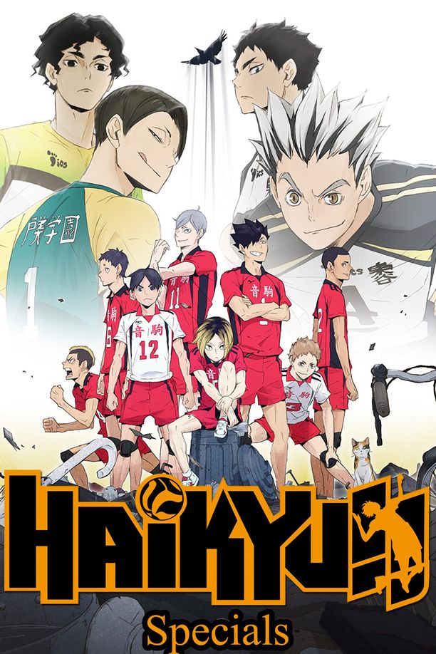 排球少年    特别篇
    ハイキュー!! (2015)