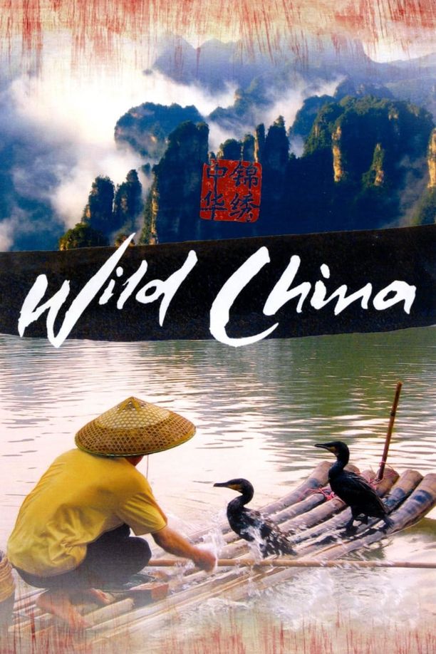 美丽中国Wild China (2008)