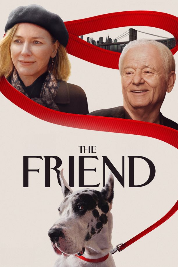 朋友The Friend (2025)
