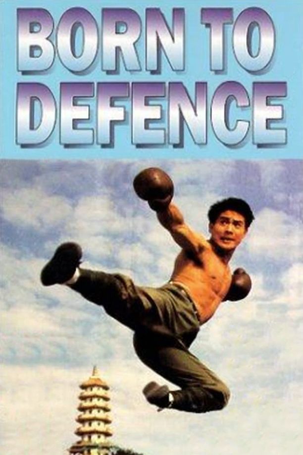 中华英雄中華英雄 (1988)